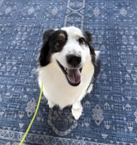 Luka (courtesy listing) - Photo 3