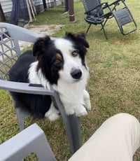 Luka (courtesy listing) - Photo 4