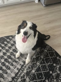 Luka (courtesy listing) - Photo 5
