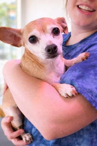Sugar Chi - Photo 3