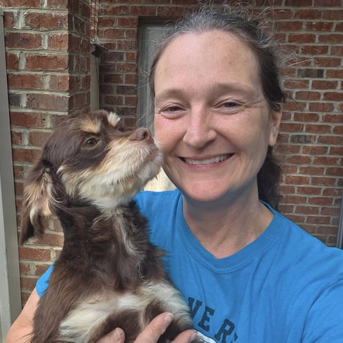 CALEB - Spaniel available for adoption