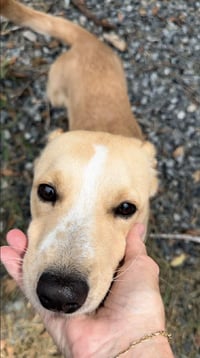 Nyla - Photo 3