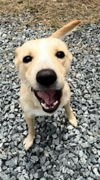 Nyla - Photo 6