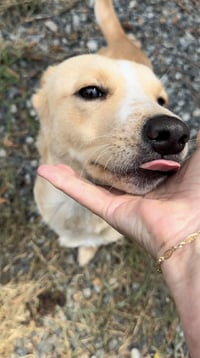 Nyla - Photo 7