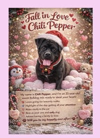 Chili Pepper - Photo 1