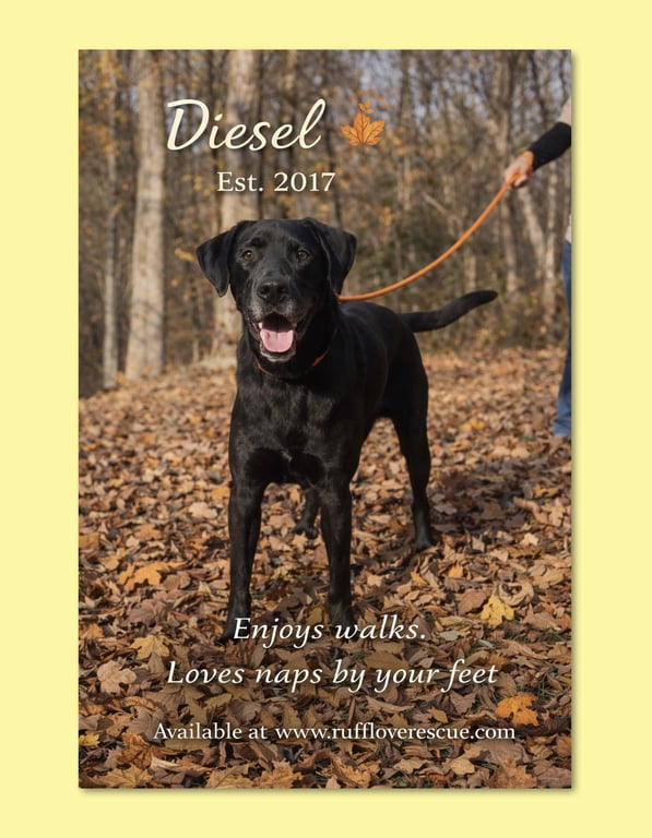 Diesel Image