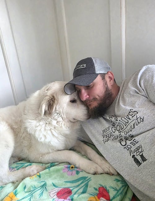 VERA - Great Pyrenees available for adoption