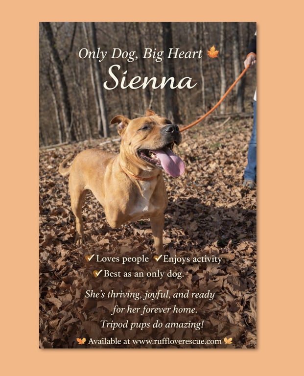 Sienna Image