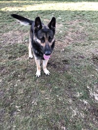 Matthias - Photo 5