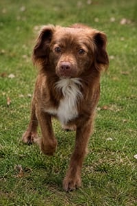 Theodore - Photo 3