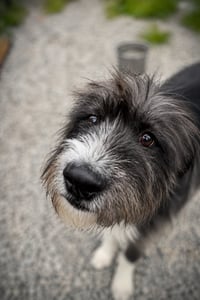 Robey - Photo 2