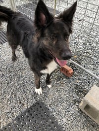 Walter - Photo 2