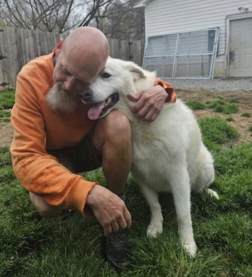 OPAL - Great Pyrenees available for adoption