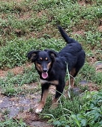 Lucy - Photo 3