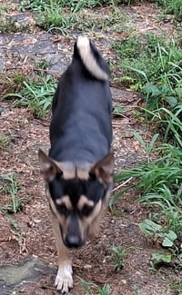 Bernie - Photo 3