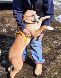 Zeke - Photo 2