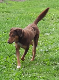 Bruce - Photo 5