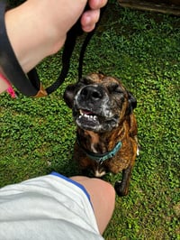 Molly - Photo 1
