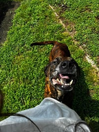 Molly - Photo 2