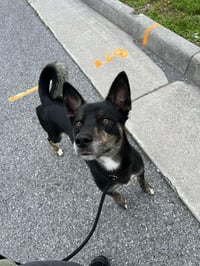 Tank - Photo 4