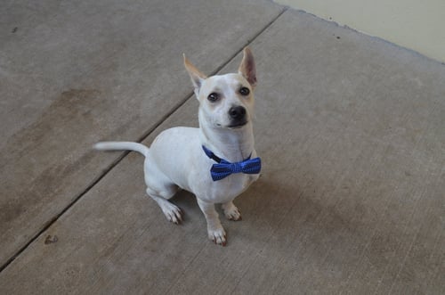 BENNY (IN FOSTER)