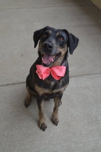 Lila - Photo 2