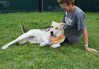 Coco - Photo 3