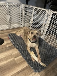 Rey (TX) - Photo 1