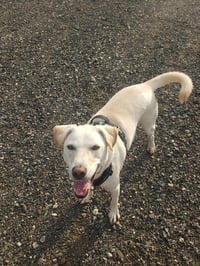 George (TX) - Photo 4