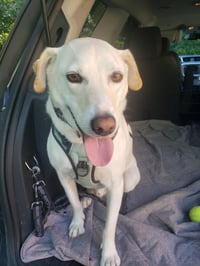 George (TX) - Photo 2
