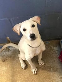 George (TX) - Photo 3