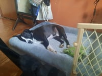 Cyle (TX) - Photo 4