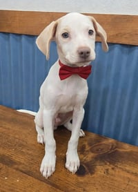 Arthur (TX) - Photo 3