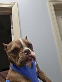 Daisy (GA) - Photo 2