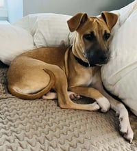 Jill (GA) - Photo 3