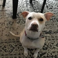 Lulu (TX) - Photo 1