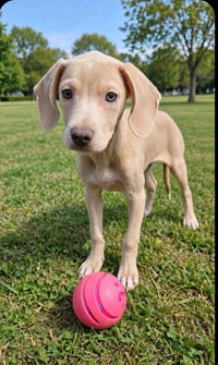 Arielle (TX) - Photo 3