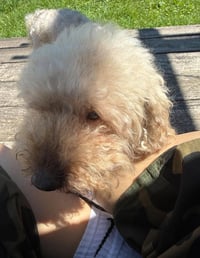Lucky (GA) - Photo 3