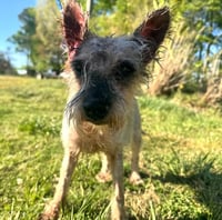 Zoe (GA) - Photo 1