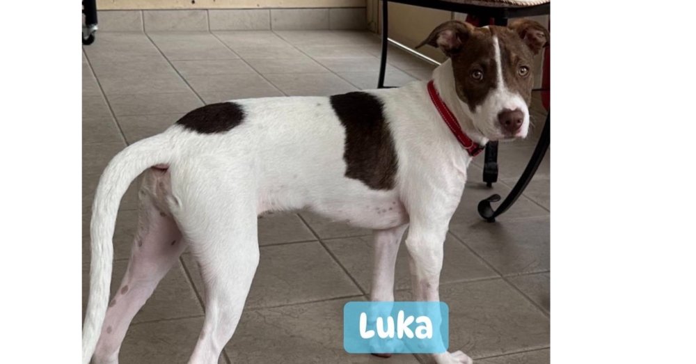 Luka (TX) Image