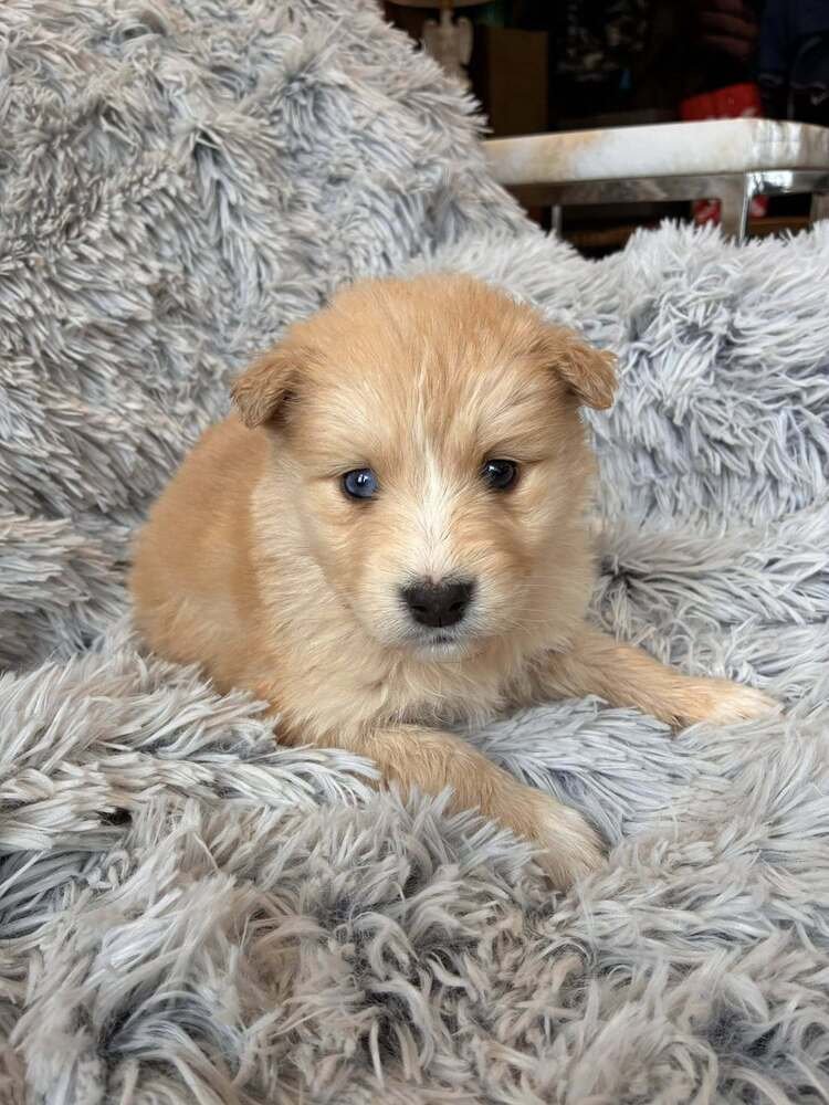 Sugar (AL) - Photo 2