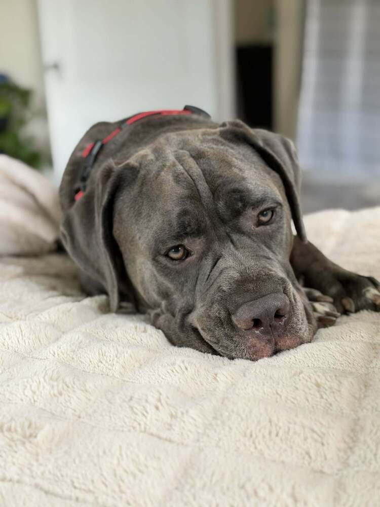 Hendrix (NY) - Photo 3