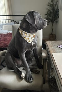 Hendrix (NY) - Photo 3