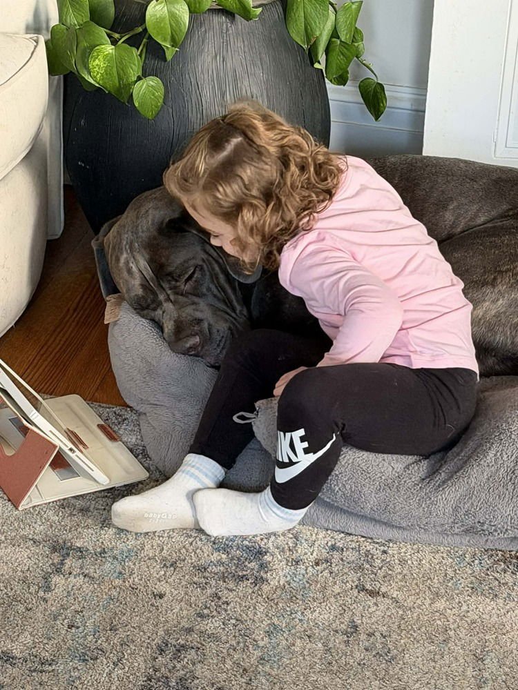 Hendrix (NY) - Photo 4