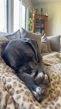 Hendrix (NY) - Photo 4
