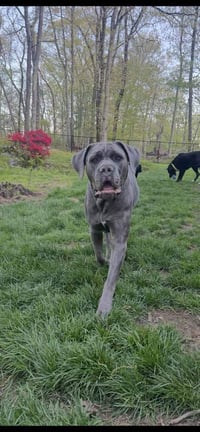 Hendrix (NY) - Photo 1