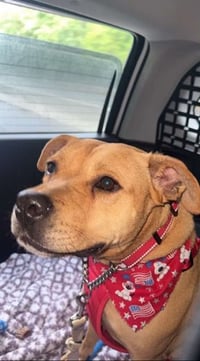 Bonnie (TX) - Photo 3