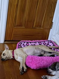 Mason (GA) - Photo 4