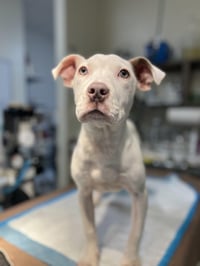 Lena (GA) - Photo 3