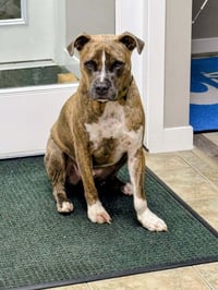 Hatcher (GA) - Photo 1